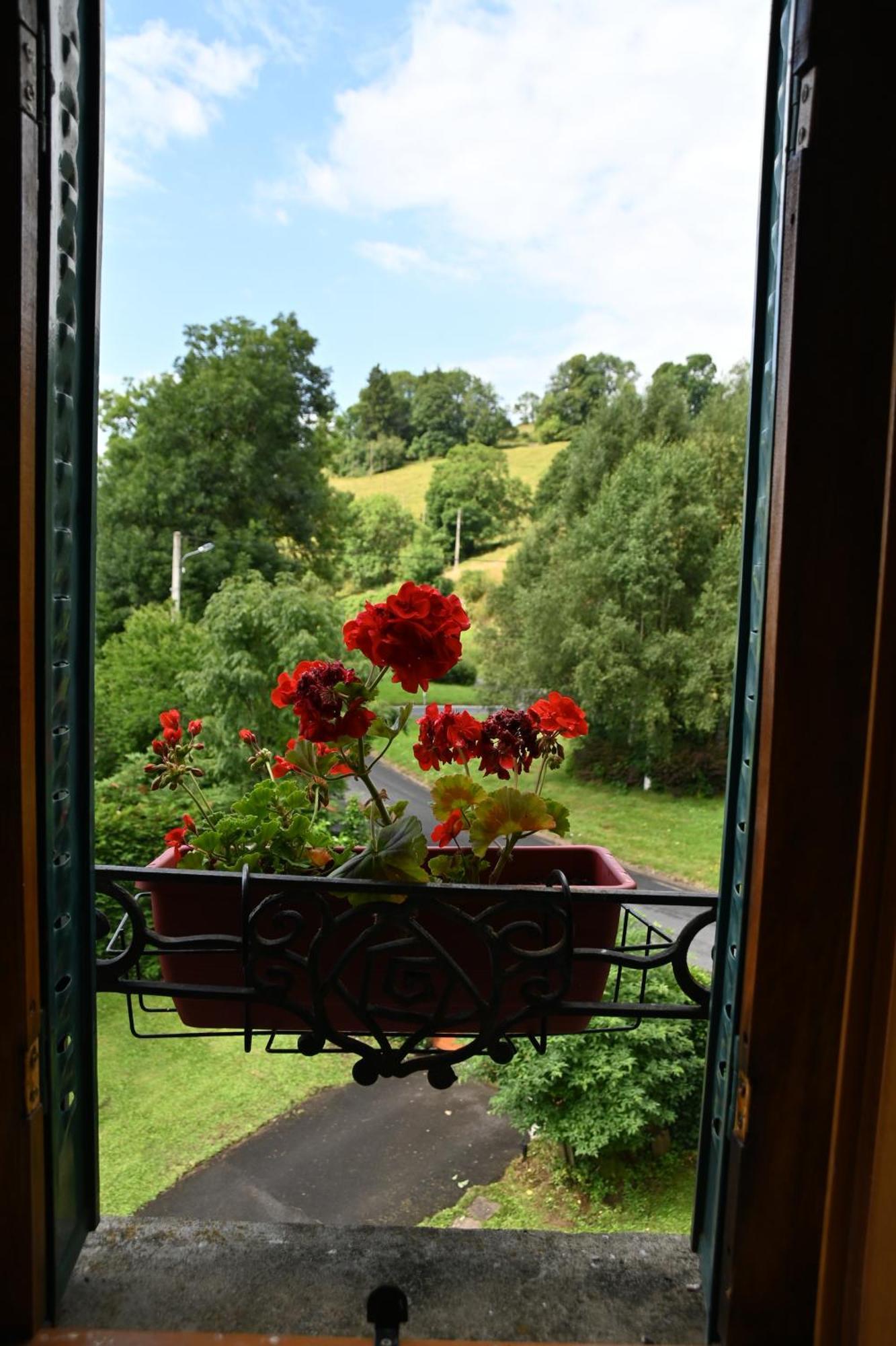 Le Deyran Bed & Breakfast Egliseneuve-d'Entraigues Exterior photo