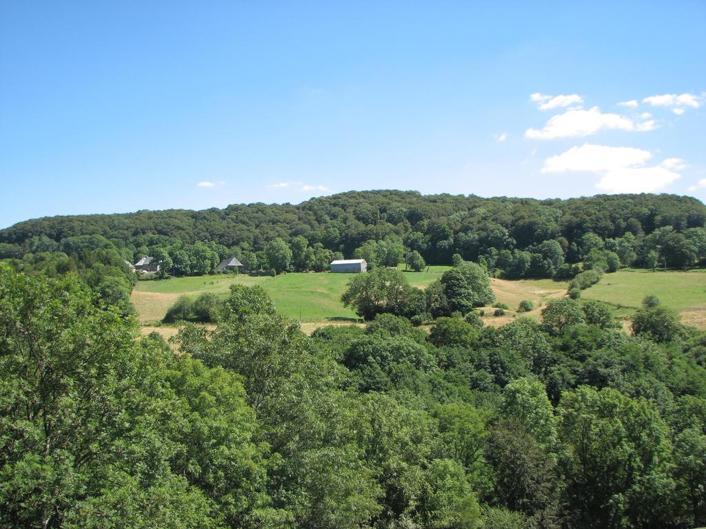 Le Deyran Bed & Breakfast Egliseneuve-d'Entraigues Exterior photo